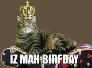 birfday.gif
