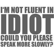 FLUENT-SMALL_1.jpg