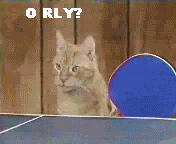 CatsPingPong.gif