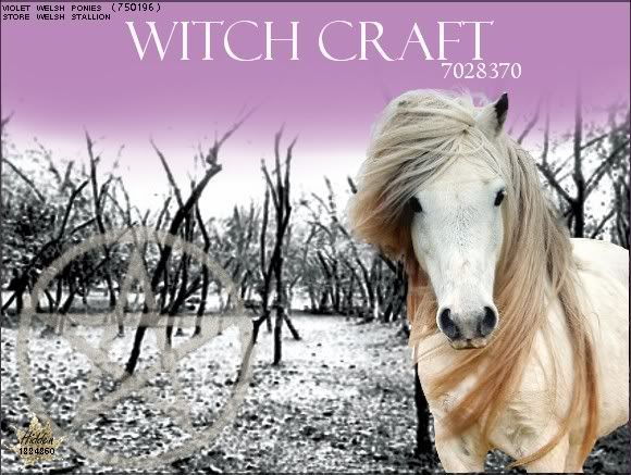 witchcraft.jpg Witch Craft image by syfbg5st