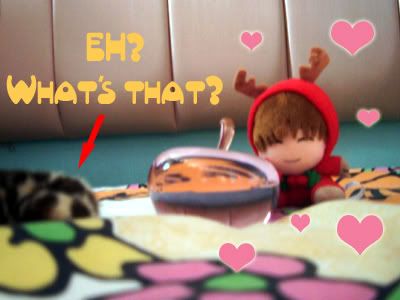 Image hosting by Photobucket