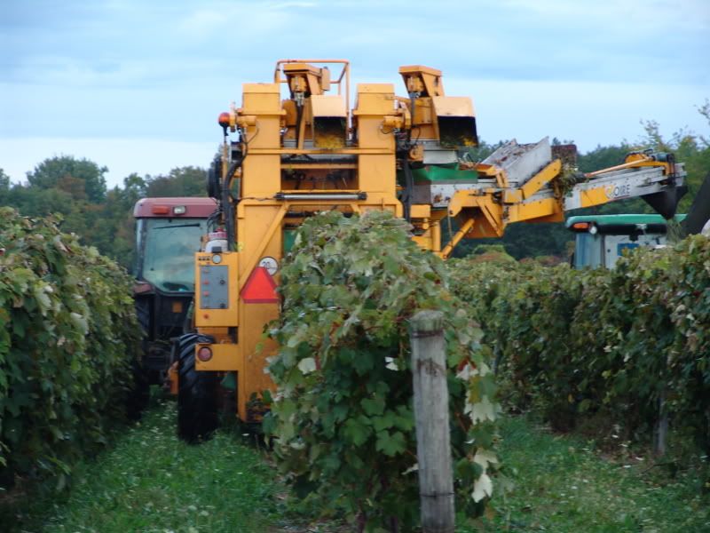 MarkMartainsharvester018.jpg