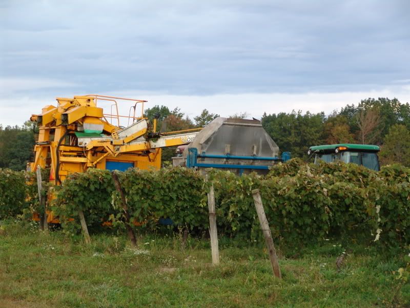 MarkMartainsharvester028.jpg