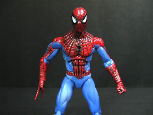 Hasbro Fury Files Spider-Man