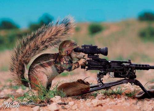 Killer20Squirrel.jpg