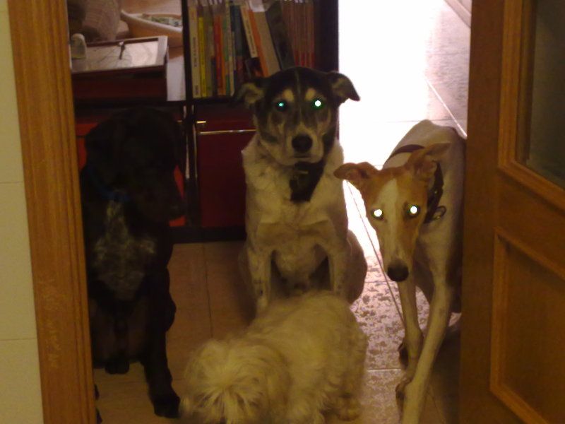La espera
