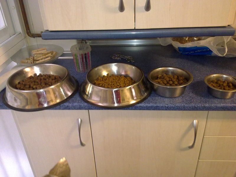Preparando la comida