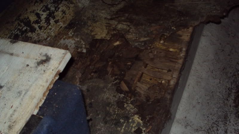 DSC01873.jpg