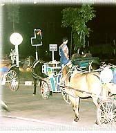 HorseCarriage3.jpg