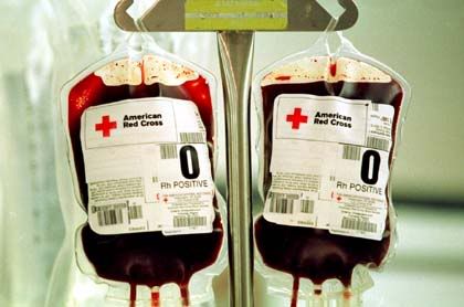 blood-bag-photos.jpg