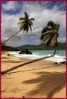 phuket-1.jpg
