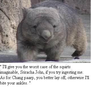 unappetizingwombat.jpg