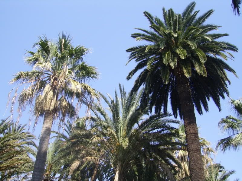 http://i2.photobucket.com/albums/y35/RJ100/nce032.jpg?t=1174173682