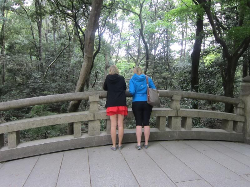  photo IMG_3673.jpg