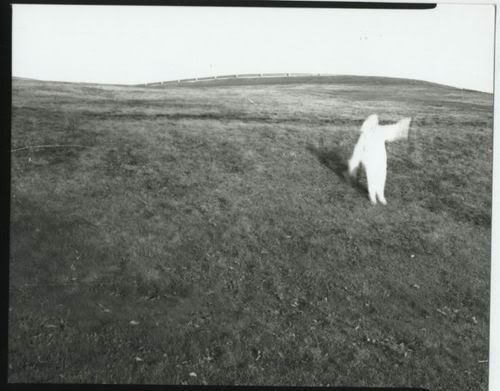 flying down citadel hill