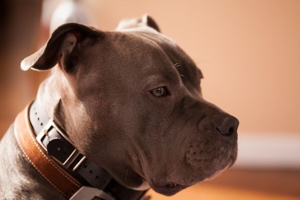 IMAGE: http://i2.photobucket.com/albums/y35/nilo824/simona2_zps2438d529.jpg