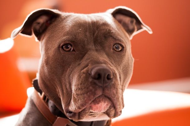 IMAGE: http://i2.photobucket.com/albums/y35/nilo824/simona_zps013b0771.jpg