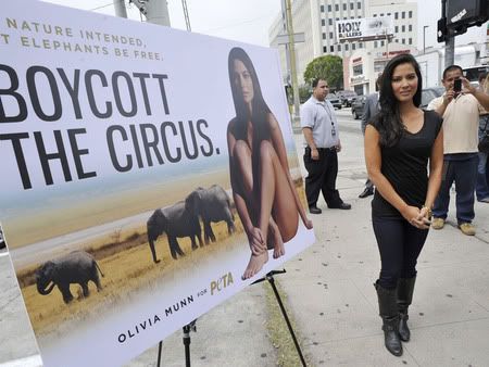 boycott the circus
