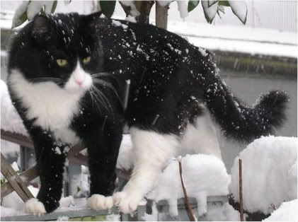 200922inthesnow036-1-2.jpg