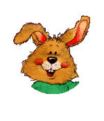Bunny.gif