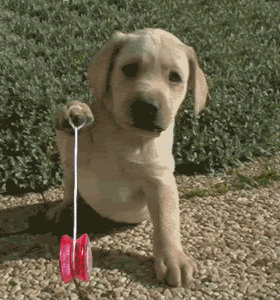 image005.gif