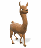 llama_walking_sm_wht.gif