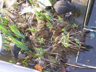 Picture001.jpg