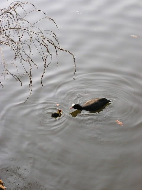 Picture019.jpg