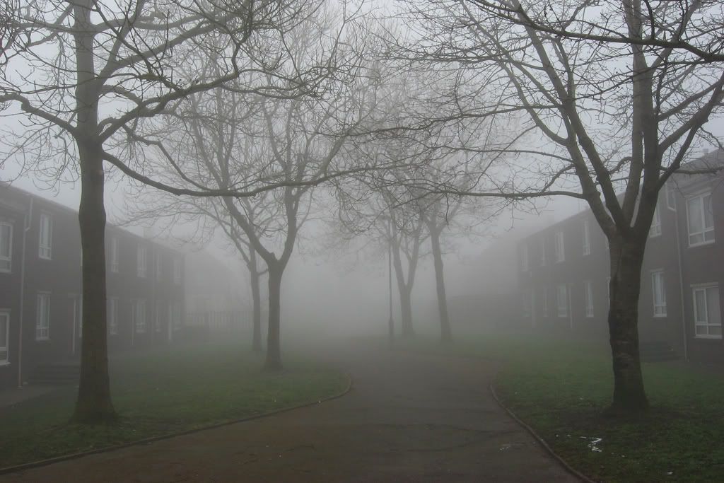 http://i2.photobucket.com/albums/y36/MMSR5/More%20Stuff/FoggyMorning.jpg