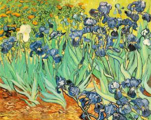 Irises-Van Gogh