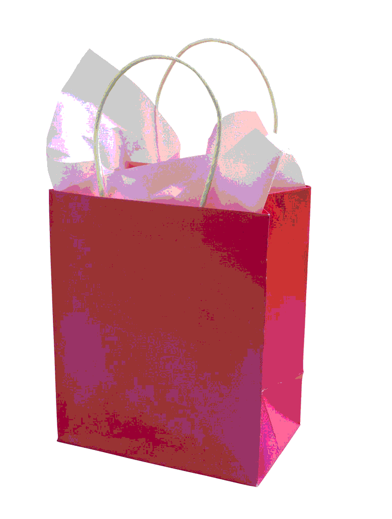 ShoppingBag-1.gif image by nan62