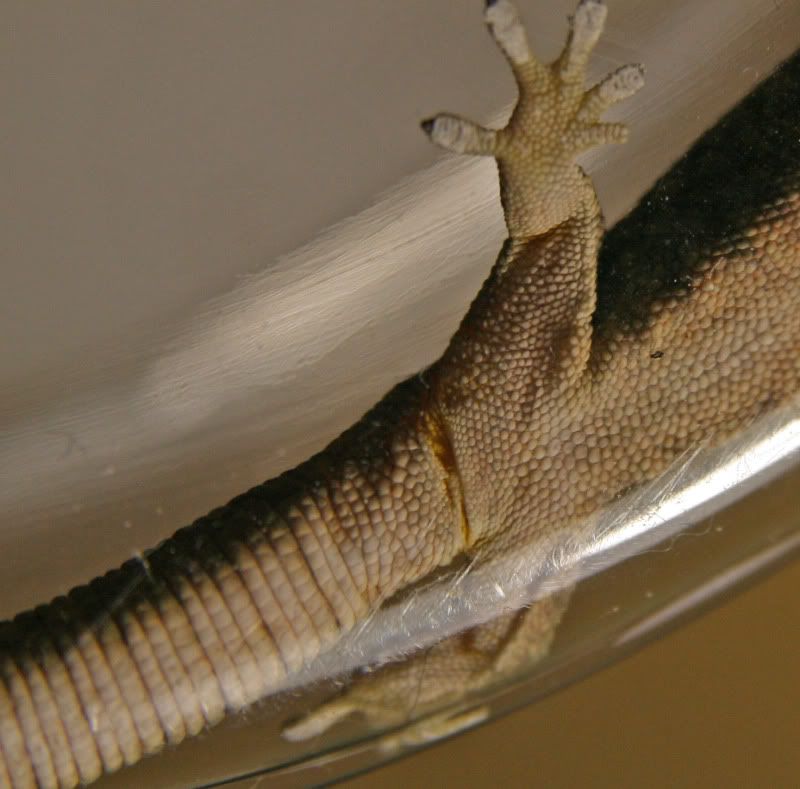 IMG_7624.jpg