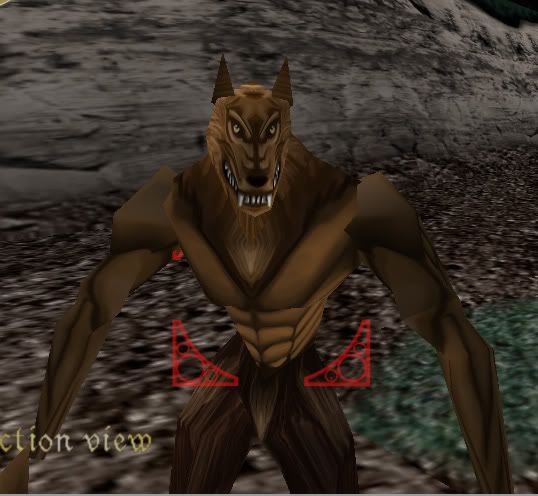 finalmanwolf2.jpg