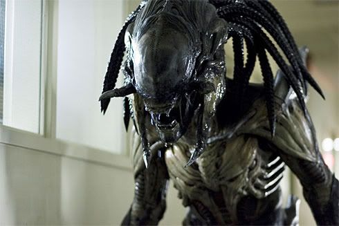avpr-predalien.jpg