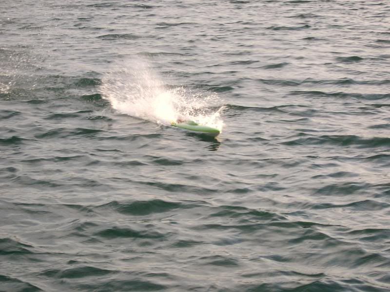SV400243.jpg