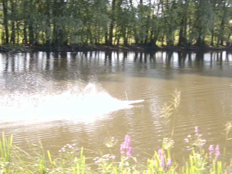 SV400961.jpg