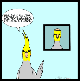 Funny cockatiel comic