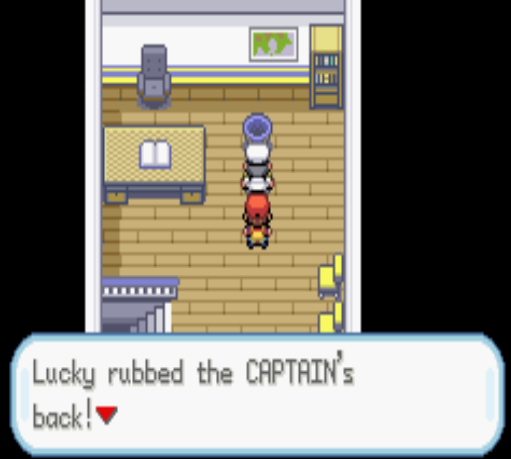 pokeaar100.png