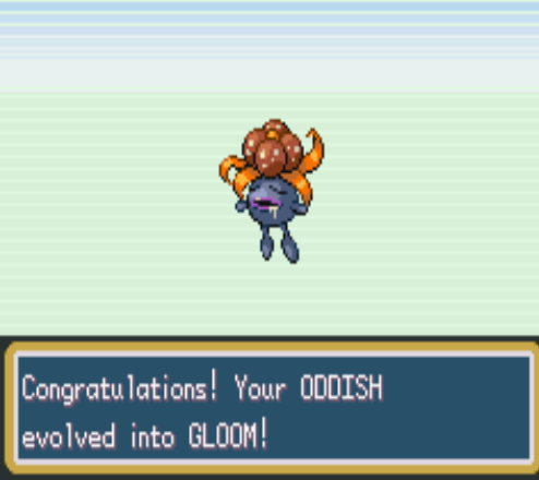 pokeaar91.png