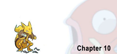 pokeaar_ch10.png