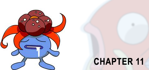 pokeaar_ch11.png