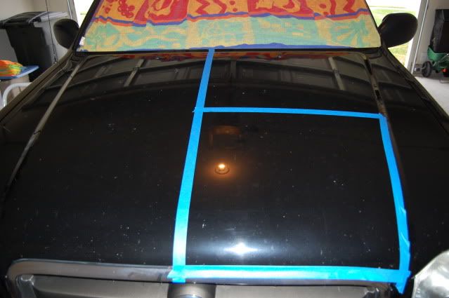 DSC_0433.jpg