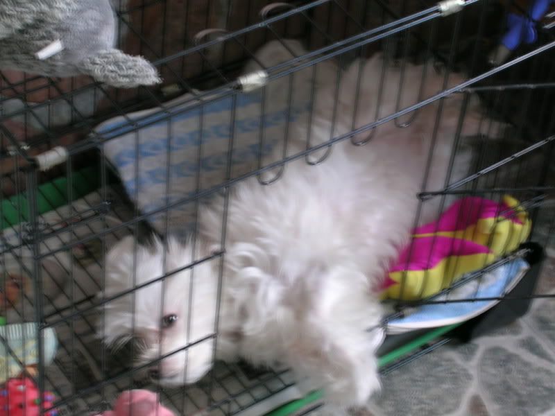 Photobucket - Video and Image Hosting