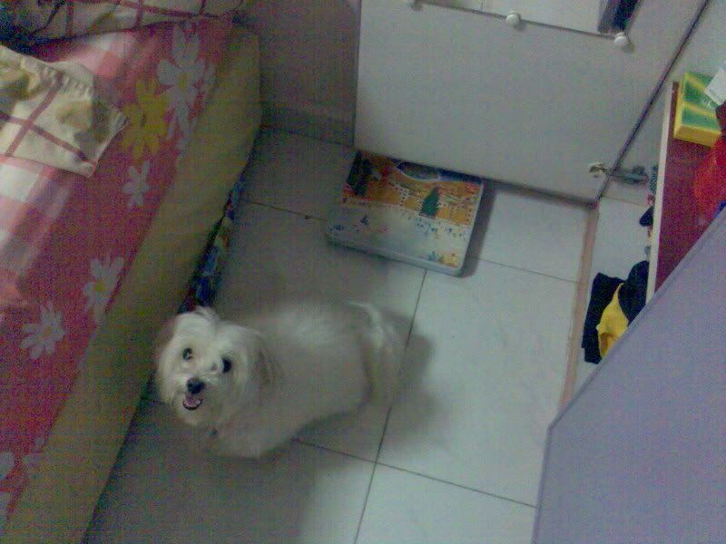 Photobucket - Video and Image Hosting