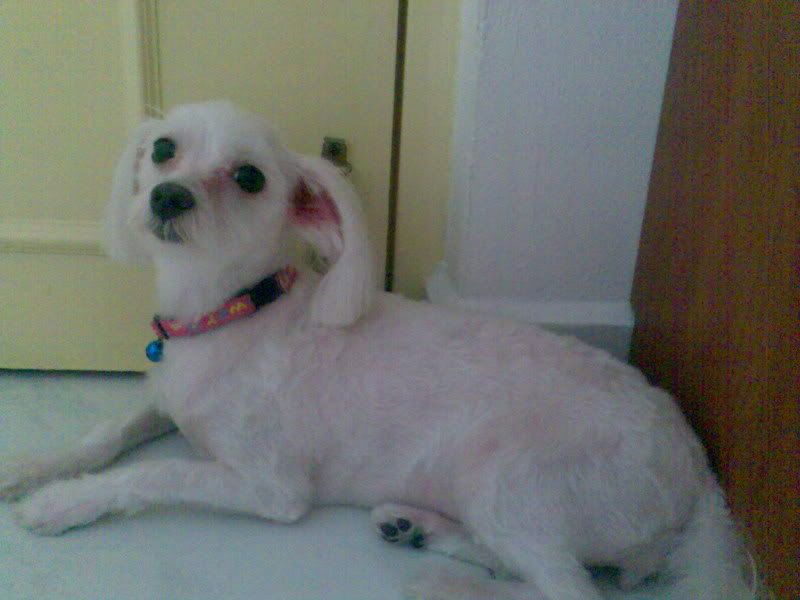 Photobucket - Video and Image Hosting