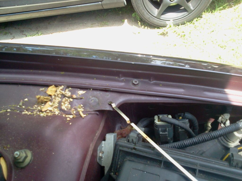 new to the forums, and new problem with the altima... - Nissan Forum
