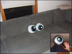 resident pillow