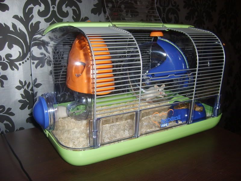 FOR SALE Male & Female Mice plus cages Reptile Forums