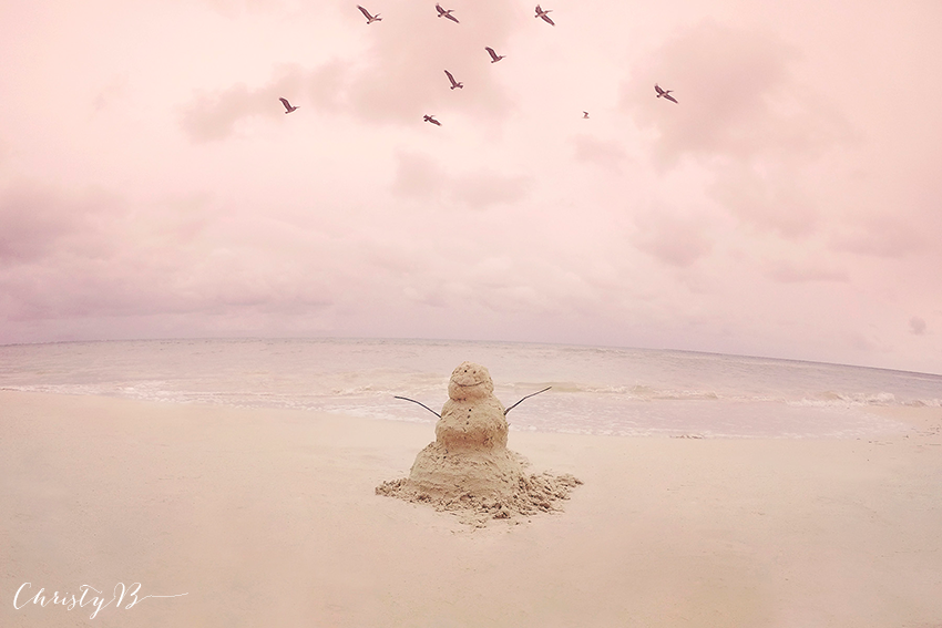 photo Christy_B_Mexico_Snowman_BLOG.png