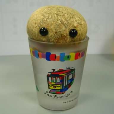 Grass Head fits in cup nicely